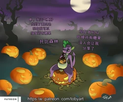 [TobyArt] Halloween Spike Haunted Pumpkin Patch (My Little Pony Friendship is Magic)（闲的没事干AI翻译）