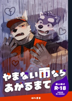 [Habemaru] If the rain won't stop, I'll wait until it clears up [english]