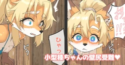 [がよくみだら] 小型種ちゃんの壁尻受難