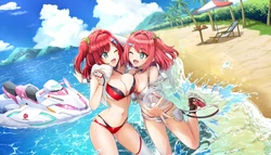 Dolphinwave Memorial cards Live2d
