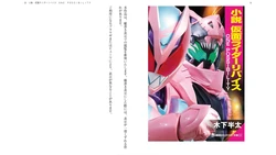 Novel Kamen Rider Revice One Possibility