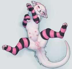 [Artist] Nyawe (Tametam/Tamextama)