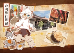 [hoshino chisara]台湾旅行日記（台湾旅行记）<中文机器翻译>
