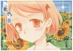 (C101)[PRIVATE(Mizuki Shou.Ichikawa Megumi)]Kita e. DD Rakugaki Hon
