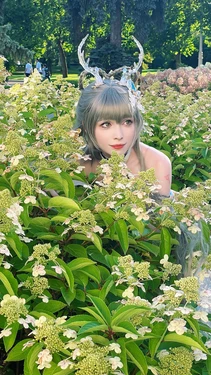 Faira Star - Luo Tianyi