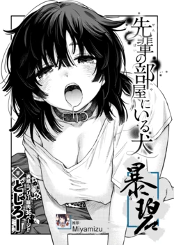[Doji Ro] Senpai no Heya ni Iru Inu | 学长房间里的狗 (COMIC Kairakuten 2026-08) [Chinese] [暴碧汉化组] [Digital]