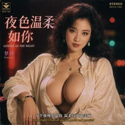 Glamorous 1980s Chinese Pop Album Cover [AI Generated]