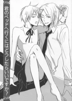 [LOVEPOTIONNO.9 (Ichinomiya Shihan)] What do I have to do to get into your bed? (Hetalia Axis Powers)