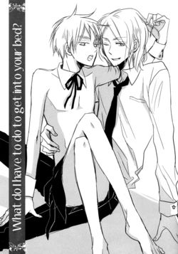 [LOVEPOTIONNO.9 (Ichinomiya Shihan)] What do I have to do to get into your bed? (Hetalia Axis Powers) [English]