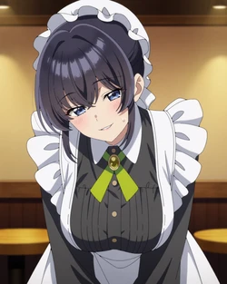 [Ponchoman] Melody Wave - Heroine? Saint? No, I'm an All-Works Maid || メロディ・ウェーブ - ヒロイン?聖女?いいえ、オールワークスメイドです(誇)! (UNCENSORED) 70 IMAGES [AI Generated]