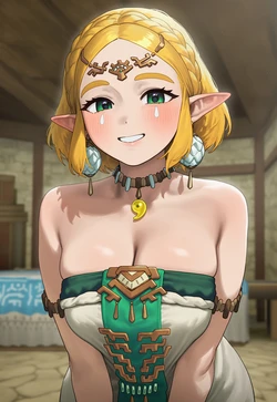 [Mikayori] Zelda x Link [AI Generated]