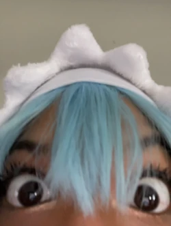 Hehe Katt - Jeff the Shark