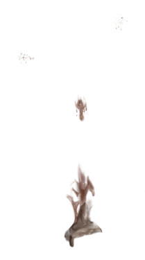 [Misc] - LIMGAE Templates