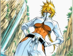 [Noxxi] Harribel / Aizen (20 pics) [AI Generated]