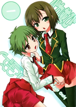 (C75) [Ndemotte (200X ZOOM, KOIZUMI)] Baka Narabi (Baka to Test to Shoukanjuu)