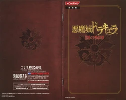 Castlevania Curse of Darkness Instruction Manual [PS2]