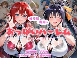 (AID oll) オジ様専用 おっぱいハーレム 〜9＋2人の極上雌〜 (Highschool DxD) [AI Generated]