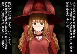 [淫乱テディベア ]魔法少女が無実の罪で冥界監獄に収容され数万年の無限快楽○問