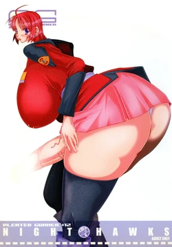 (Puniket 11) [HGH (HG Chagawa)] PG#12 NIGHT HAWKS (Gundam SEED DESTINY)