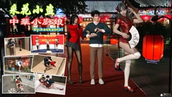 [kaokaoriri] 采花小盗之中华小厨娘