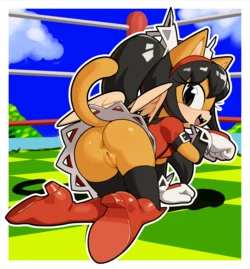 [Bunguy] Honey the Cat (Sonic the Hedgehog)