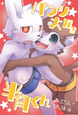 (関西けもケット11) [PELL-MELL WORKS (鴻上)] 最喜欢内裤★半月君 危险！私房调味篇[星糖梦个人汉化]