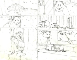 The Werebeasts of Wildwood County