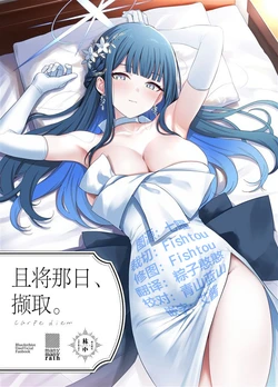 (C108) [manymanyrain (Amagasa Ikuta)] Sono Hi o, Tsume. - carpe diem | 且将那日、撷取。 (Blue Archive) [Chinese] [欶澜汉化组]