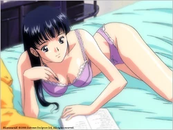 Anime Pin-up Beauties '99 (CD-ROM Gallery)
