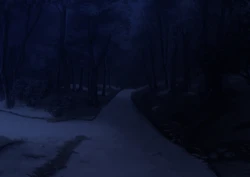 [我が家の黒歴史 (三夜代)] 身に憑かれし巫女の果て-妖魔変転- [无字]
