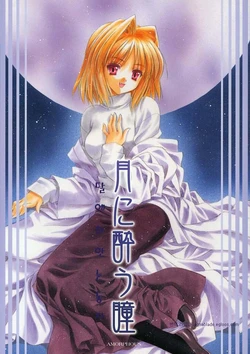 (C63) [Amorphous (Sakazuki Homare)] Tsuki ni You Hitomi (Tsukihime) [korean]