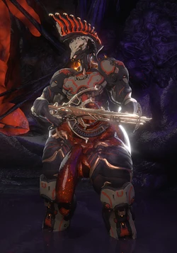 [QZK Forte] Nokra Pumps