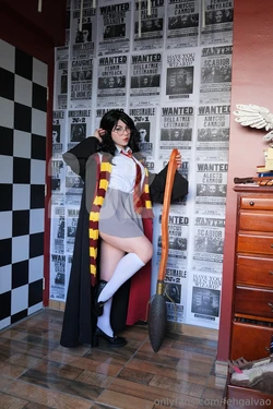 Feh Galvao - Harry Potter