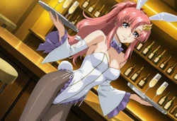[Moke] Lacus Clyne Anal Sex (GUNDAM SEED) / ラクス・クライン アナルエッチ (ガンダムSEED) 524Pics [AI Generated]