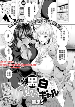 [Kuma Ashi S] Kuroshiro Pet Gal (COMIC ExE 75) [Chinese] [Digital]