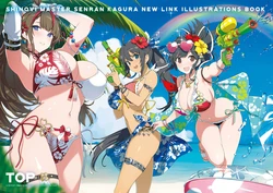 SHINOVI MASTER SENRAN KAGURA NEW LINK ILLUSTRATIONS BOOK 【TOP】
