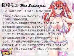 Masochistic Wrestling 3