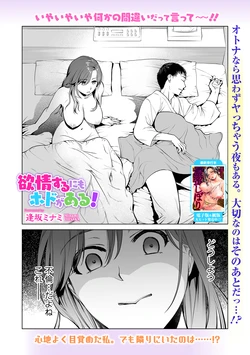 [逢坂ミナミ] 欲情するにもホドがある！