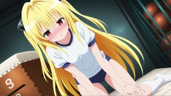 [アトリエくろてふ💞+👣] 特別版31 [Gym体操服] Golden Darkness / Konjiki no Yami / Eve (To Love Ru / Toraburu / To Love-Ru) [83P] [AI Generated]