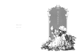 (C 89)[Hanada Hyou (Hoshinise)] Honnotabibito | 书的旅人 (Touhou Project) [Chinese] [不做秘封汉化组 254]