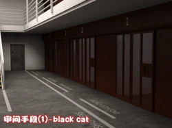 [footman] Interrogation Methods - Black Cat 1