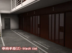[footman] Interrogation Methods - Black Cat 2